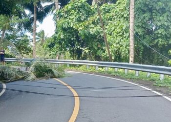 Akibat Warga Tebang Pohon Sembarangan Arus Listrik Dari Bolaang Uki Hingga Posigadan Putus