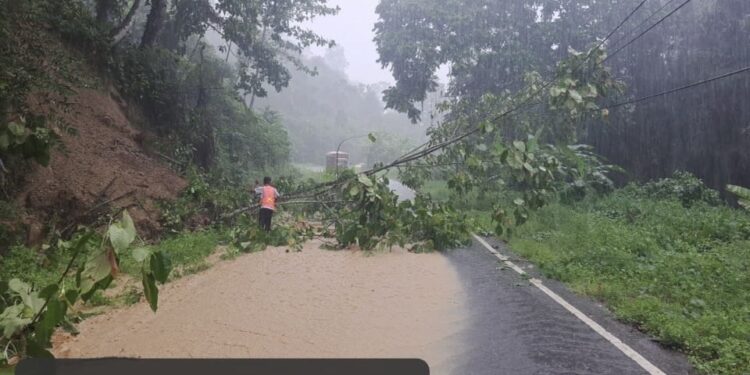 Cuaca Ekstrem di Bolsel Berlanjut hingga Mei 2024, Menyebabkan Tanah Longsor dan Gangguan Listrik