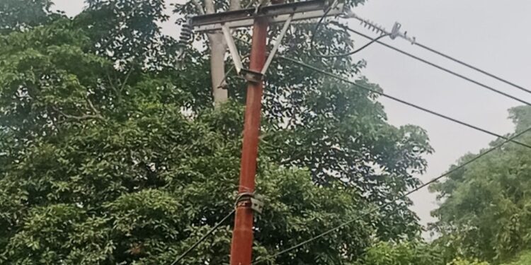 Akibat Pohon Tumbang di Desa Bakida Suplai Listrik di 4 Kecamatan Harus Terputus