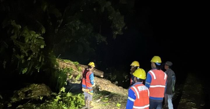 Hujan Disertai Angin Kencang di Bolsel, Sejumlah Pohon Tumbang Sebabkan Listrik Terganggu