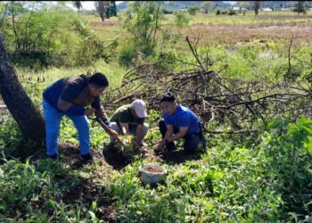 Wartawan Bersama Kominfo Bolmong Lakukan Penanaman Bibit Mangga Dukung Program Bupati Yusra