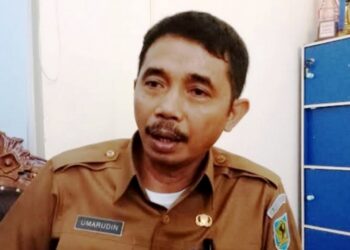 BKPP Bolmong Tegas; Honorer Bodong Jangan Ikut Seleksi PPPK Di Manado
