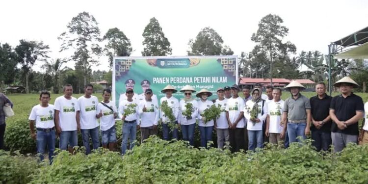 Walikota dr Weny Gaib Bersilaturahmi dengan Petani Nilam dan Serahkan Kartu BPJS Ketenagakerjaan