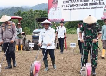 Bupati Bolmong Hadiri Penanaman Jagung Hibrida Dengan Danrem 131 Santiago Untuk Dukung Ketahanan Pangan