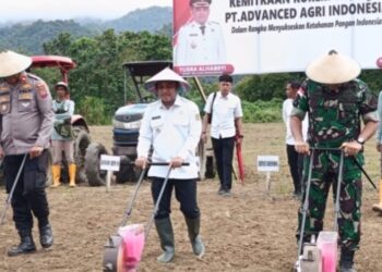 Bupati bolmong Hadiri Penanaman Jagung Hibrida Dengan Danrem 131 Santiago Dukung Ketahanan Pangan
