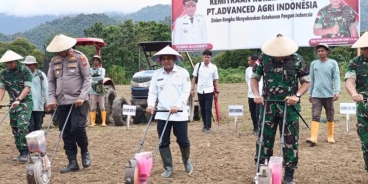 Bupati bolmong Hadiri Penanaman Jagung Hibrida Dengan Danrem 131 Santiago Dukung Ketahanan Pangan