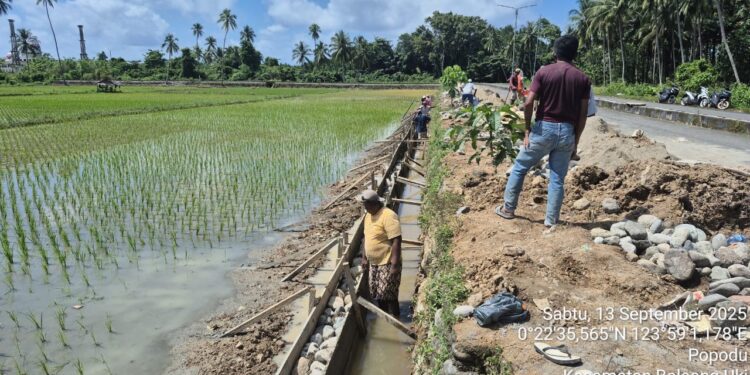 Desa Toluaya Dapat Program P3-TGAI, Dorong Ketahanan Pangan Nasional