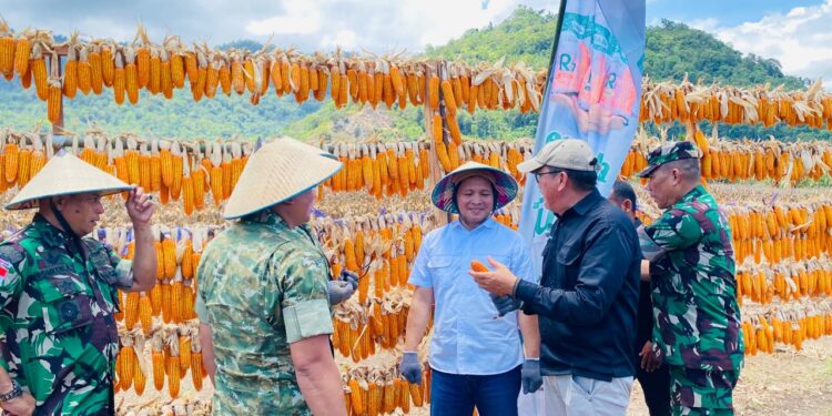 Komitmen Jalankan Program Strategi Ketahanan Pangan,Wabup Dony Lumenta Buka Kegiatan Panen Raya Jagung
