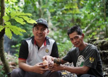 PT JRBM Kolaborasi Dengan Peredam Untuk Konservasi Burung Maleo di Bolsel