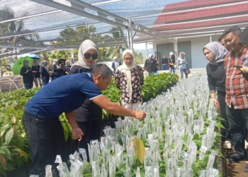 Ketua TP-PKK Kotamobagu Siap Dorong Pengembangan Kakao Organik Berbasis Pemberdayaan Perempuan