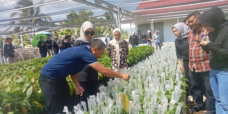 Ketua TP-PKK Kotamobagu Siap Dorong Pengembangan Kakao Organik Berbasis Pemberdayaan Perempuan