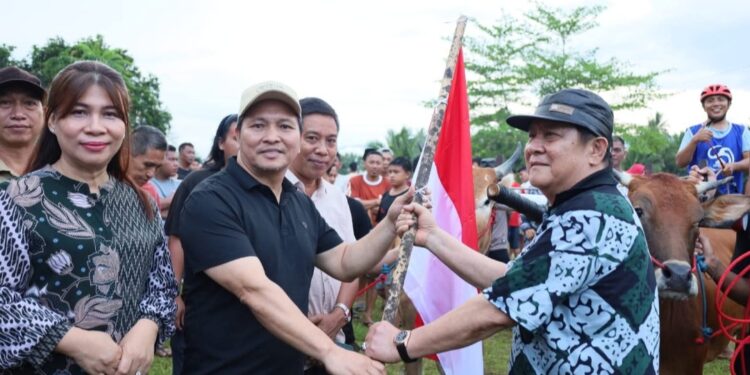 Wabup Bolmong Dony Lumenta  Buka Karapan Sapi Lebaran Ketupat di Ikhwan