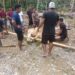 PT Hartaka Daya Nusantara Serahkan Dua Sapi Kurban untuk Warga Desa Pidung