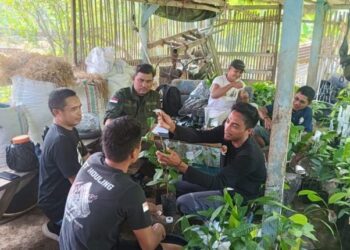 Kelas Belajar Petani Kakao Kotamobagu Utara Perdana Digelar, Bahas Teknik Sambung Pucuk