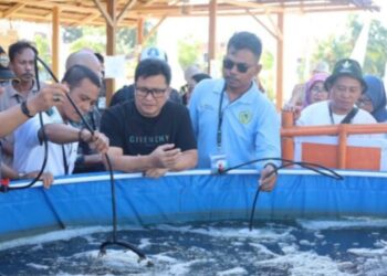 Kunjungi PENAS XVII,Wabup Bolmong Dony Lumenta Dorong Produktivitas Petani dan Peternak