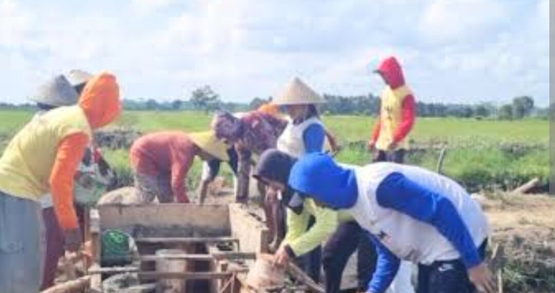 Dugaan Pungli Pada Program P3-TGAI Ternyata Hoax