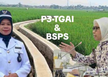 Sangadi Tungoi 2 Mita Manolang Sebut YSM Pejuang Aspirasi Program P3-TGAI Dan BSPS